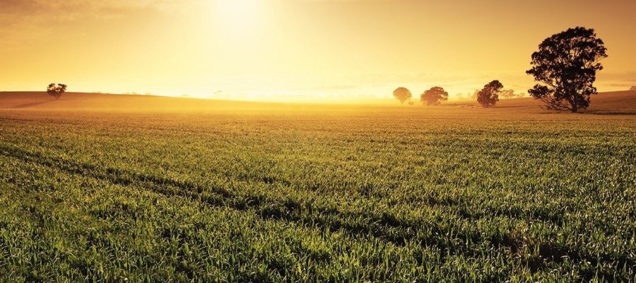A importância da qualidade da água na agricultura