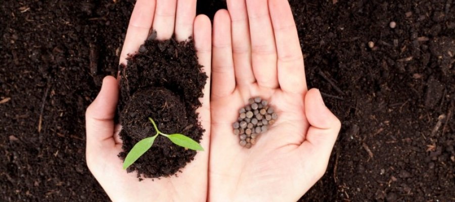 Entenda o que propõe o Programa de Regularização Ambiental