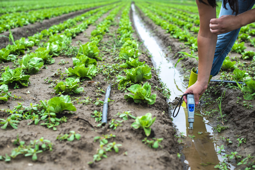 Como a análise do solo pode influenciar a plantação